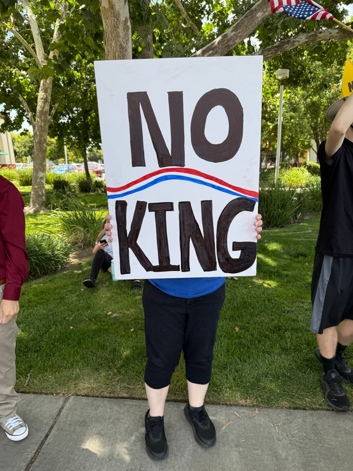 A protester holds a sign at the No Kings protest in Turlock, California